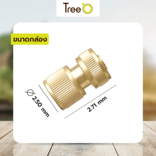 Tree O Plus ข้อต่อสวมเร็ว ทองเหลือง รุ่นDY8010C ขนาด1/2” สีทอง