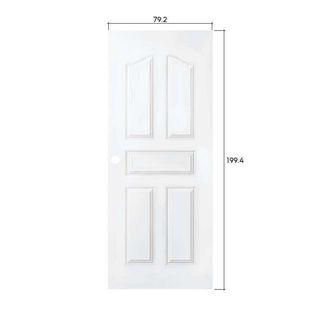 PROFESSIONAL DOOR บานประตูเหล็ก G1W 80x200ซม.