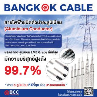 BCC สายไฟ THW-A 1x50 ตร.มม. 500 m. สีดำ