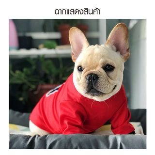 เสื้อยืดสัตว์เลี้ยง รุ่นCL001S ไซส์S ขนาด 10นิ้ว สีแดง DUDUPETS