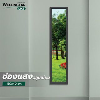 WELLINGTAN (LIKE) ช่องแสงอะลูมิเนียม 180 x 40 ซม. สีดำ