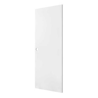 PROFESSIONAL DOOR ประตูเหล็ก D2W 90x200 ซม. สีขาว เจาะ