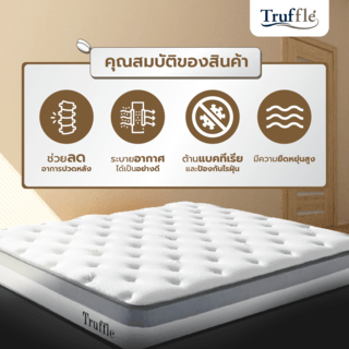 Truffle ที่นอน Pocket Spring รุ่น Amerzaa 5ฟุต หนา10 รับประกันสปริง 5ปี