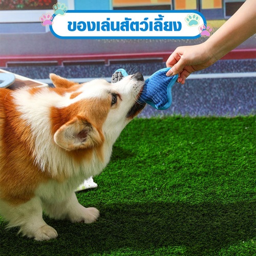 DUDUPETS ของเล่นสัตว์เลี้ยง รุ่นWP07 ขนาด 10X20X3ซม.สีฟ้า