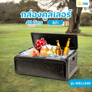 GOME กล่องคูลเลอร์ 40L 40×60×25 ซม. WELLS40 สีดำ