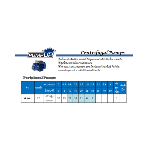 SUMOTO ปั๊มน้ำแบบใบพัดเฟือง 0.5Hp รุ่น KP60-1