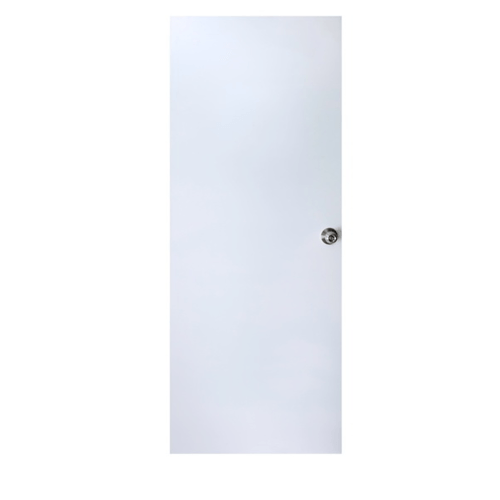 PROFESSIONAL DOOR บานประตูเหล็กขนาด 90*200 cm. D2G สีเทา