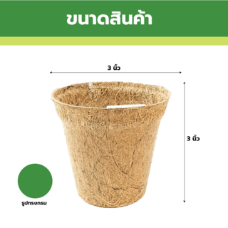 DAMRONGSILP กระถาง ใยมะพร้าว 3นิ้ว (กลม)