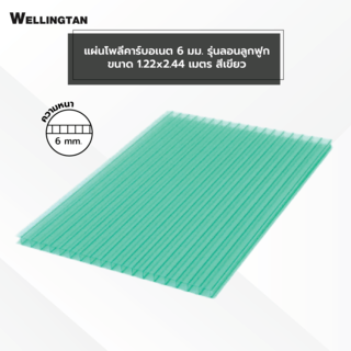 WELLINGTAN แผ่นโพลีคาร์บอเนต 6 มม. ขนาด 1220x2440 มม.สีเขียว