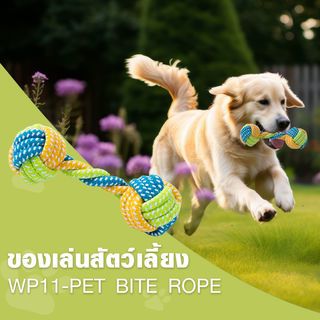 DUDUPETS ของเล่นสัตว์เลี้ยง รุ่นWP11 ขนาด 5X5X18ซม.สีเขียว-ฟ้า