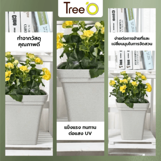 Tree  O กระถางต้นไม้ รุ่น 6PY022-WH ขนาด 15 x 15 x 14 ซม. (6นิ้ว) สีขาว