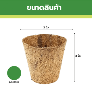 DAMRONGSILP กระถาง ใยมะพร้าว 2นิ้ว (กลม)