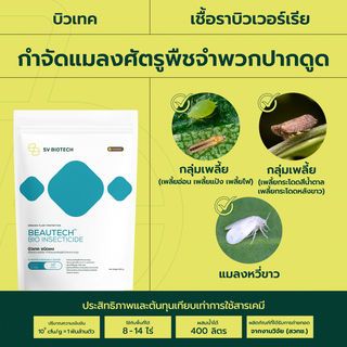 SV Biotech บิวเทค (เชื้อราบิวเวอร์เรีย) ชนิดผง 500g