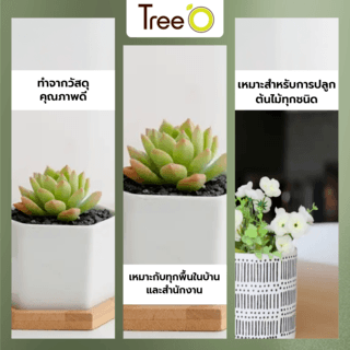 Tree O กระถางเซรามิก พร้อมจานรอง รุ่น 4LY-016 สีขาว