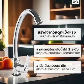 ក្បាលរ៉ូប៊ីណេអាងលាងចាន Counter ទង់ដែងក្រូមធំ តួ J ស៊េរី IR-52103 IRIS