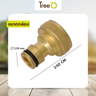 Tree O Plus  ข้อต่อก๊อกสวมเร็ว ทองเหลือง รุ่น DY8017C สำหรับหัวก๊อกขนาด3/4 สีทอง