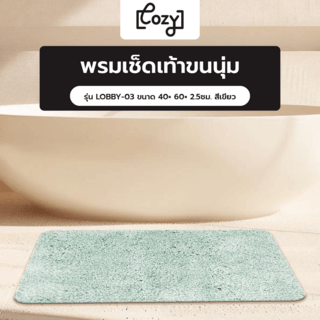 COZY พรมเช็ดเท้าขนนุ่ม รุ่น LOBBY-03 ขนาด 40× 60× 2.5ซม. สีเขียว