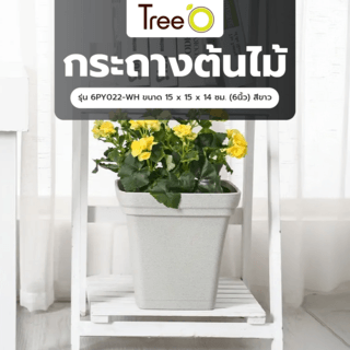 Tree  O กระถางต้นไม้ รุ่น 6PY022-WH ขนาด 15 x 15 x 14 ซม. (6นิ้ว) สีขาว