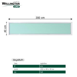 WELLINGTAN (LIKE) ช่องแสงอะลูมิเนียม 200x40ซม. สีขาว