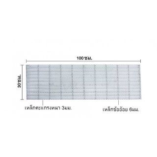 ปืนใหญ่ ตะแกรงรางน้ำ หนา 3 มม. พร้อมตาข่าย ขนาด 30x100x2.5ซม. สีเงิน