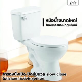 Iris สุขภัณฑ์สองชิ้นแบบกดหน้า 1 ระบบ รุ่น โอลีฟ IR-669