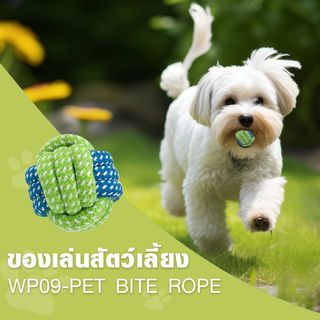 DUDUPETS ของเล่นสัตว์เลี้ยง รุ่นWP09 ขนาด 5X5X5ซม.สีเขียว-ฟ้า