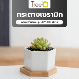 Tree O กระถางเซรามิก พร้อมจานรอง รุ่น 4LY-016 สีขาว