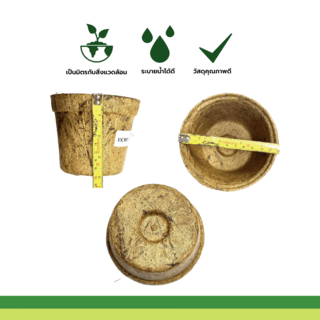 DAMRONGSILP กระถาง ใยมะพร้าว 4.5นิ้ว (กลม)