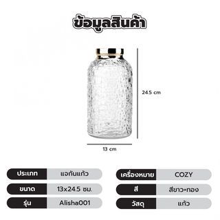 COZY แจกันแก้ว ขนาด 13x24.5 ซม.รุ่น Alisha001 สีขาว+ทอง