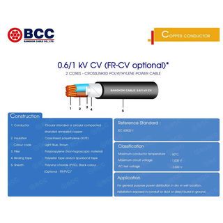 BCC สายไฟ kV CV 2x2.5 ตร.มม. 100 m. สีดำ