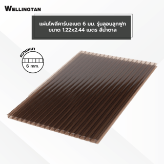 WELLINGTAN แผ่นโพลีคาร์บอเนต 6 มม. ขนาด 1220x2440 มม.สีน้ำตาล