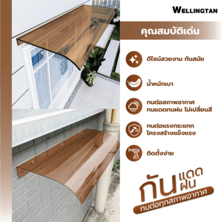 WELLINGTAN ชุดกันสาดอะคริลิค  ขนาด  50x120 ซม.หนา3.5มม. สีชา