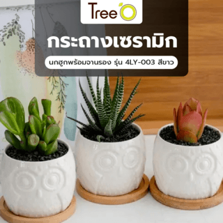 Tree’O กระถางเซรามิก นกฮูกพร้อมจานรอง รุ่น 4LY-003 สีขาว