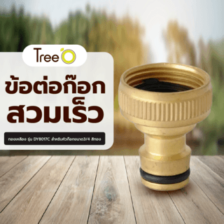 Tree O Plus  ข้อต่อก๊อกสวมเร็ว ทองเหลือง รุ่น DY8017C สำหรับหัวก๊อกขนาด3/4 สีทอง