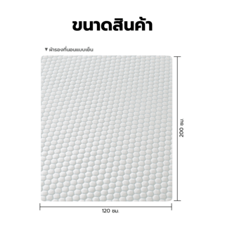 TRUFFLE ผ้ารองที่นอนแบบเย็น กันน้ำและไรฝุ่น รุ่น  DELIGHT-01 ขนาด 120×200×25ซม.  สีฟ้าอ่อน