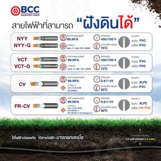 BCC สายไฟ kV CV 2x2.5 ตร.มม. 100 m. สีดำ