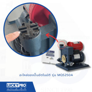 LUCKY PRO ฝาปิดที่เติมน้ำ (LP-MQS250A )LP-0413021/250