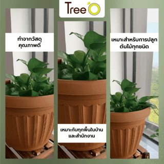 Tree O กระถางพลาสติก  รุ่น KD2003 ขนาด 8นิ้ว สีน้ำตาล