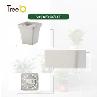 Tree  O กระถางต้นไม้ รุ่น 6PY022-WH ขนาด 15 x 15 x 14 ซม. (6นิ้ว) สีขาว